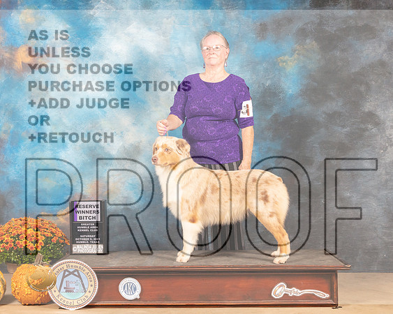 Australian Shepherd #8 Sat RWB Judge Dale Meyer-MMJ_3387-Humble2021