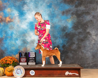 Basenji #8 BOW Judge Steven Herman