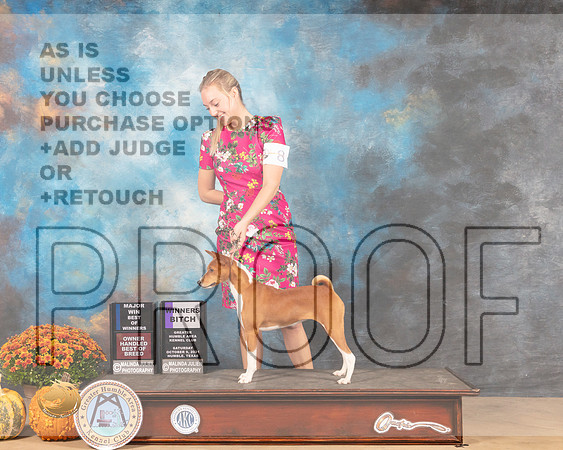 Basenji #8 BOW Judge Steven Herman-MMJ_3232-Humble2021