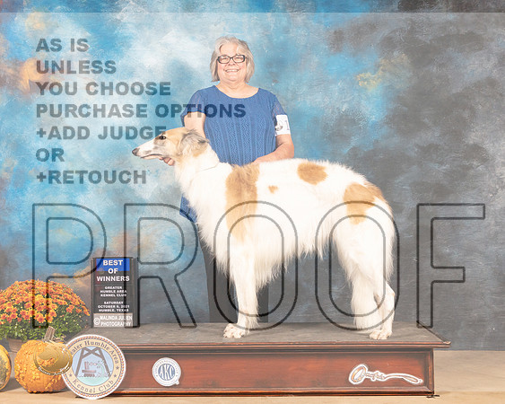 Borzoi #10 Sat BOW Judge Steve Herman-MMJ_3291-Humble2021