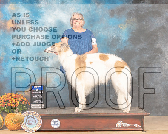 Borzoi #10 Sat BOW Judge Steve Herman-MMJ_3292-Humble2021