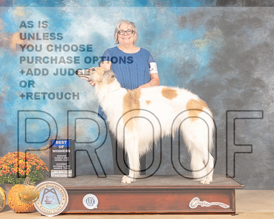 Borzoi #10 Sat BOW Judge Steve Herman-MMJ_3293-Humble2021