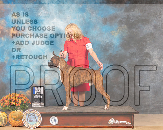 Boxer #7 Sat OD1st Judge Jay Richardson-MMJ_3266-Humble2021