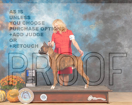 Boxer #7 Sat OD1st Judge Jay Richardson-MMJ_3267-Humble2021