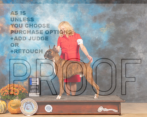 Boxer #7 Sat OD1st Judge Jay Richardson-MMJ_3268-Humble2021