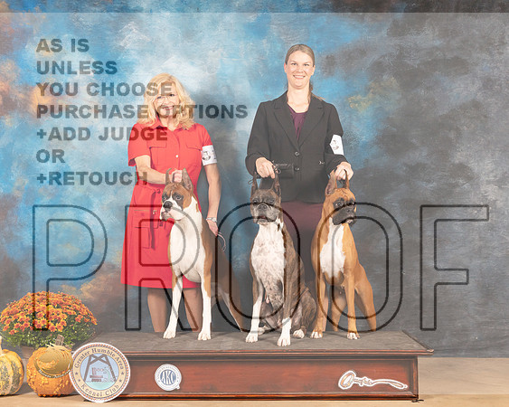 Boxer Lisa Goss Family-MMJ_3263-Humble2021