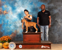 Boxer Sat Perry Brown