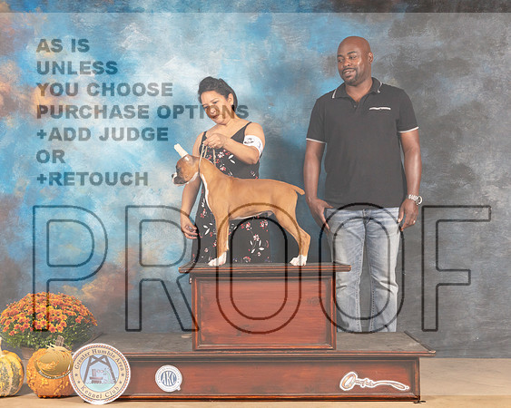 Boxer Sat Perry Brown-MMJ_3249-Humble2021