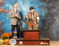 Miniature Pinscher #7 Sat BOB Judge Gary Sparschu