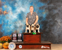 Pugs #6 #8 #11 Sat Judge Gary Sparschu