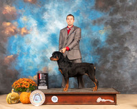 Rottweiler #14 Sat BOW Judge Jay Richardson