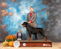 Rottweiler #5 Sat WD Judge Jay Richardson