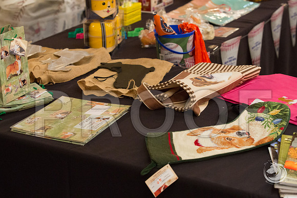 Candids Fri AMJJJ_4373-CorgiHstn2019-HR3