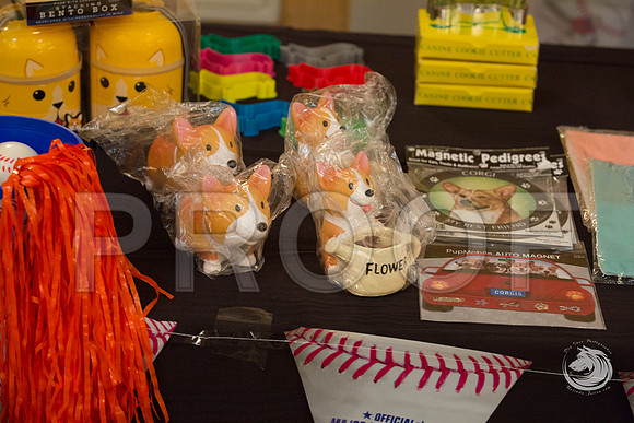 Candids Fri AMJJJ_4377-CorgiHstn2019-HR3