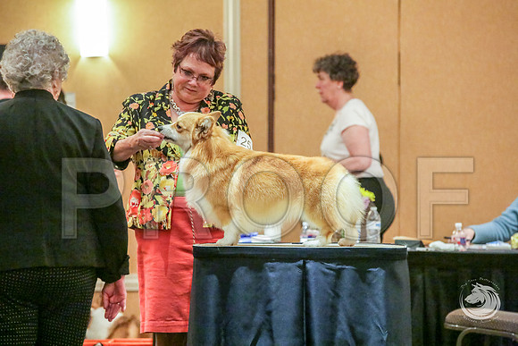 BBX Dog Fri RingsJJJ_5609-CorgiHstn2019-HR3