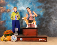 Beagle #7 Sat BOV Judge Joanne Buehler