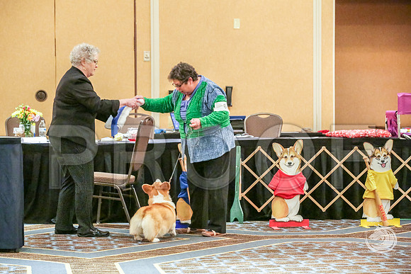 6 to 9 Bitch Fri RingJJJ_5694-CorgiHstn2019-HR3