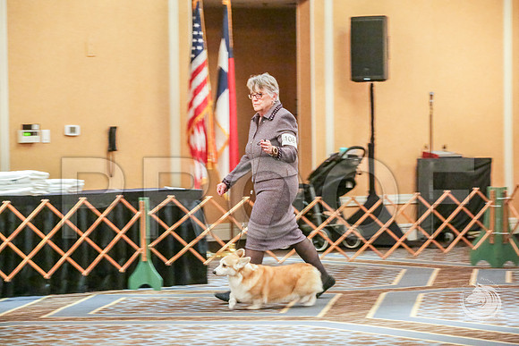 Veteran Fri RingJJJ_6668-CorgiHstn2019-HR3