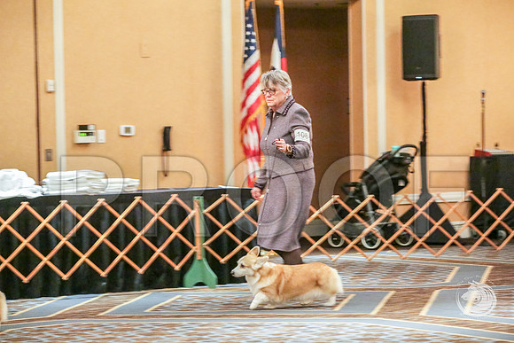 Veteran Fri RingJJJ_6669-CorgiHstn2019-HR3