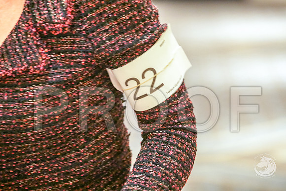12 to 18 Bitch Fri RingJJJ_5845-CorgiHstn2019-HR3