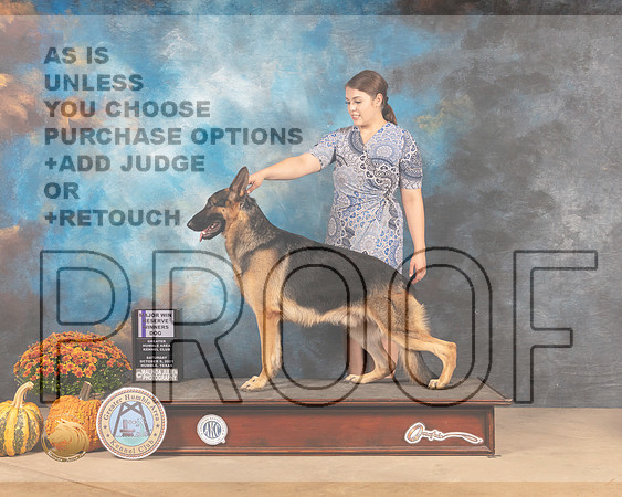 German Shepherd Dog #11 Sat RWD Judge Dale Meyer-MMJ_3492-Humble2021