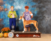 Ibizian #8 Sat BOBBOWWB Judge Joanne Buehler