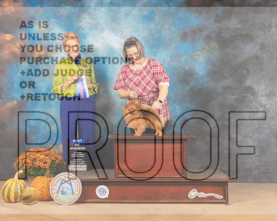 Pomeranian #5 Sat BOW Judge Joanne Buehler-MMJ_3435-Humble2021