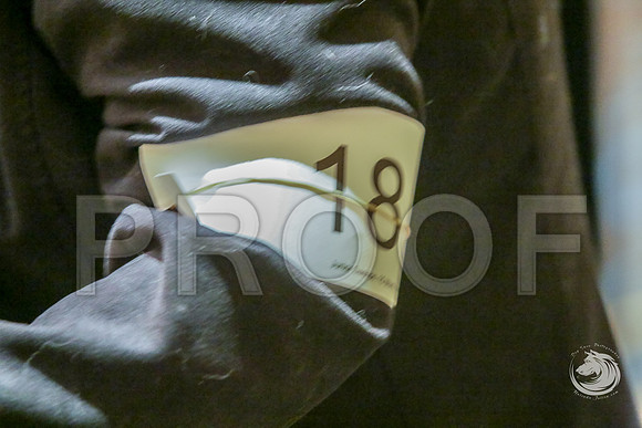 12 to 18 Bitch Fri RingJJJ_5847-CorgiHstn2019-HR3