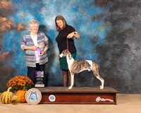 Whippet #15 Sat WD Judge Claudia Seaberg