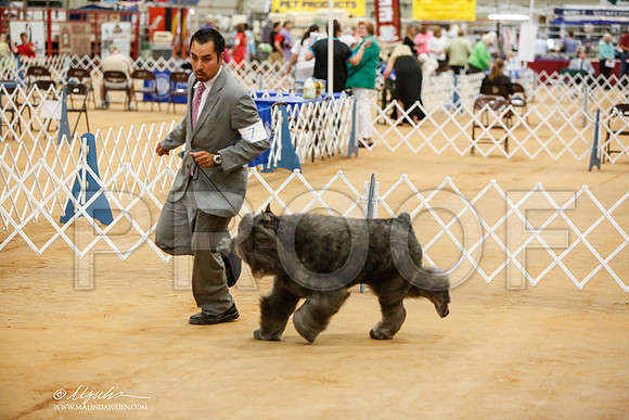 _JN_5295-TxArJun2014-HR3