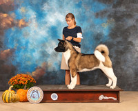 Akita #8 Sat G3 Judge Dale Meyer