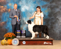 Border Collie #7 Sat BOB Judge Dale Meyer