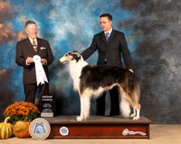 Borzoi #6 Sat G4 Judge Steven Herman