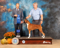 Boxer #18 Sat G1 Judge Dale Meyer