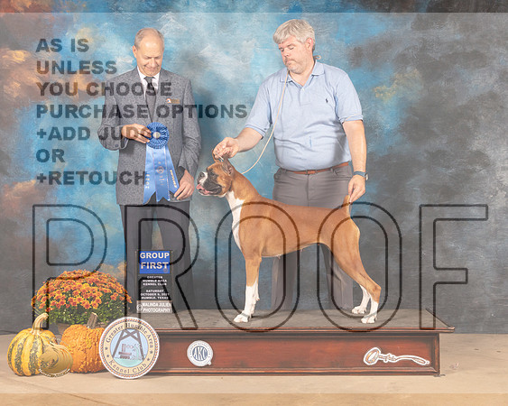 Boxer #18 Sat G1 Judge Dale Meyer-MMJ_5910-Humble2021