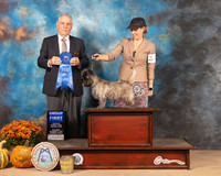 Cairn Terrier #6 Sat G1 Judge Phillip Briasco