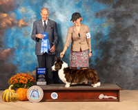 Cardigan Welsh Corgi #5 Sat G1 Judge Dale Meyer