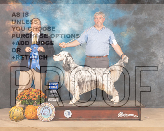 English Setter #9 Sat G1 Judge Jay Richardson-MMJ_5892-Humble2021
