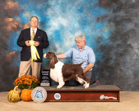 English Springer #11 Sat G3 Judge Jay Richardson