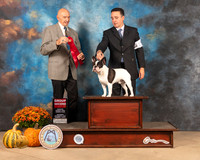French Bulldog #7 Sat G2 Judge Gary Sparschu