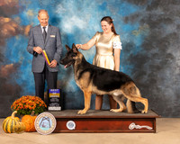 German Shepherd Dog #7 Sat BOB Judge Dale Meyer