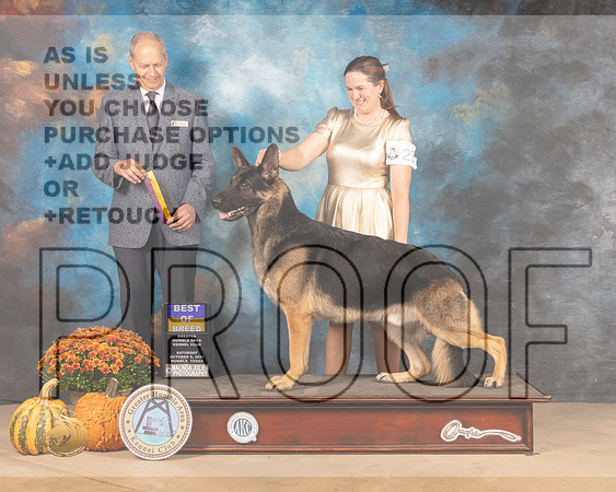 German Shepherd Dog #7 Sat BOB Judge Dale Meyer-MMJ_5968-Humble2021