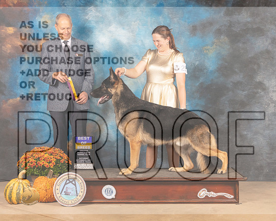 German Shepherd Dog #7 Sat BOB Judge Dale Meyer-MMJ_5974-Humble2021