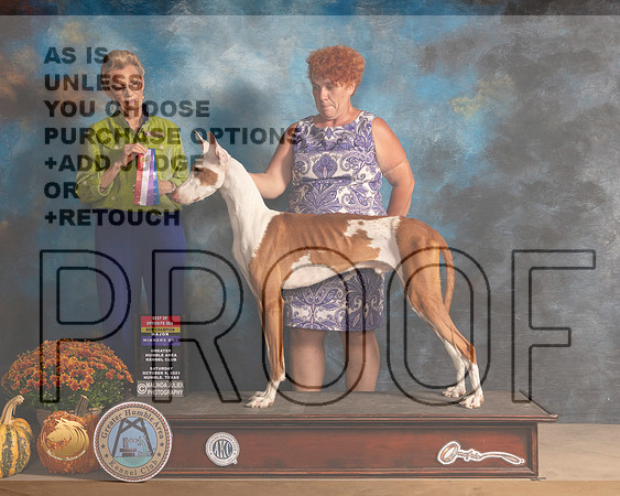 Ibizan Hound #9 Sun BOSWD Judge Joanne Buehler-MMJ_5769-Humble2021