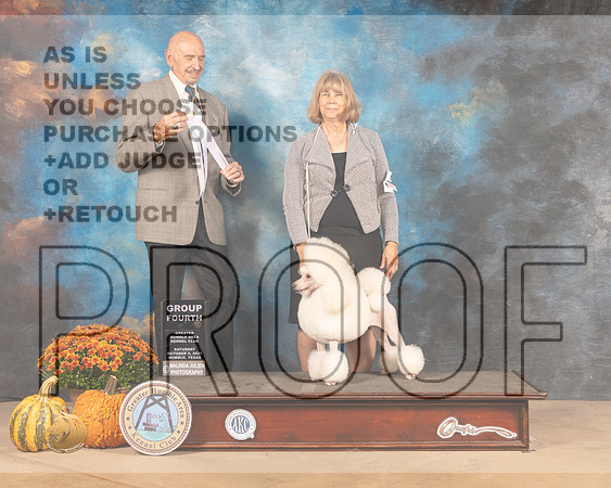 Poodle Miniature #10 Sat G4 Judge Gary Sparschu-MMJ_5929-Humble2021