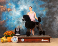 Poodle Std #11 Sat SD Judge Gary Sparschu