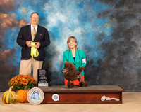 Poodle Toy #8 Sat OHRBIS Judge Jay Richardson