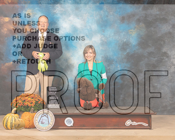 Poodle Toy #8 Sat OHRBIS Judge Jay Richardson-MMJ_5986-Humble2021