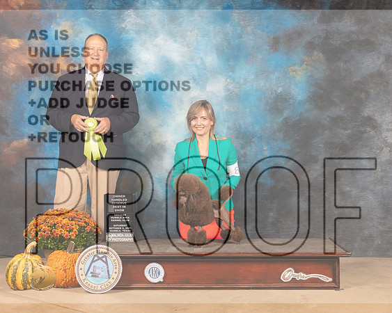 Poodle Toy #8 Sat OHRBIS Judge Jay Richardson-MMJ_5988-Humble2021