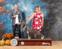 Schnauzer #6 Sat G4 Judge Dale Meyer